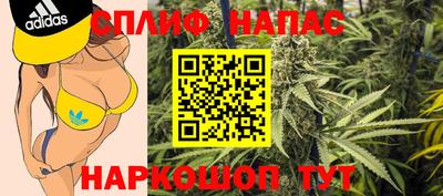 крисы Новодвинск