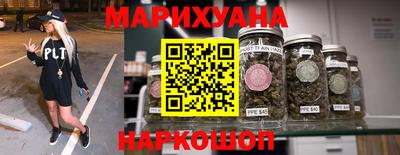 крисы Новодвинск