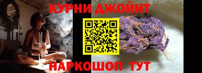 крисы Новодвинск