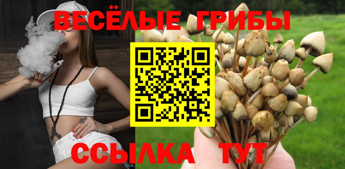 Псилоцибиновые грибы ЛСД  Галлюциногенные грибы Magic Shrooms  Уссурийск  Вход с VPN 